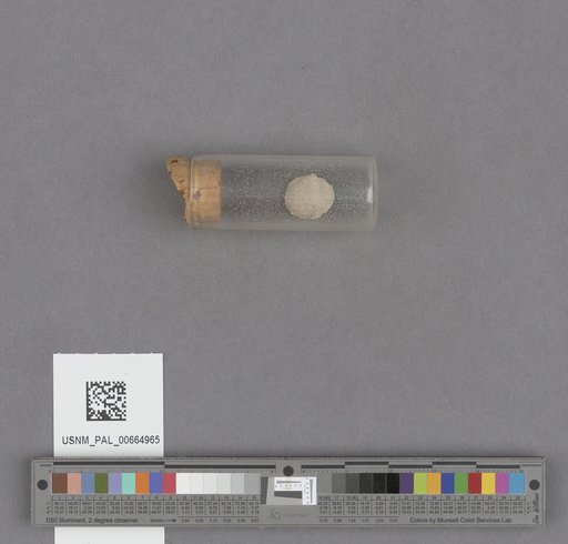 NSF ADBC EPICC TCN