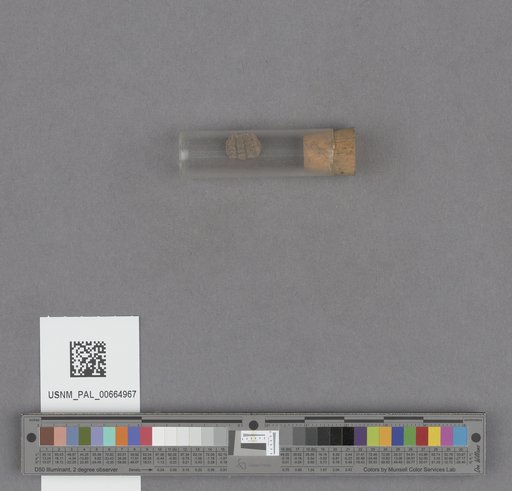 NSF ADBC EPICC TCN