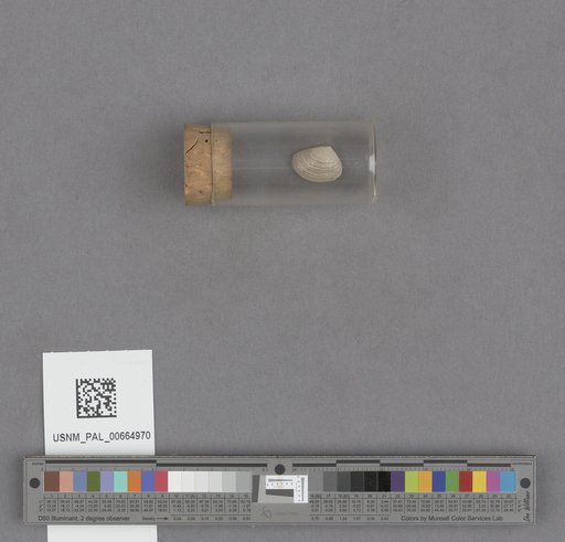 NSF ADBC EPICC TCN