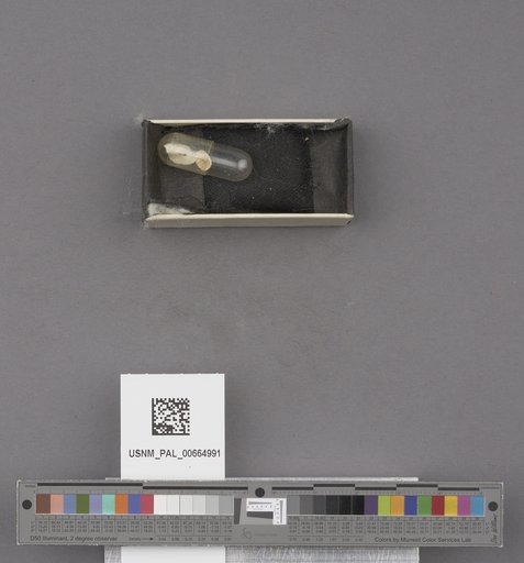 NSF ADBC EPICC TCN