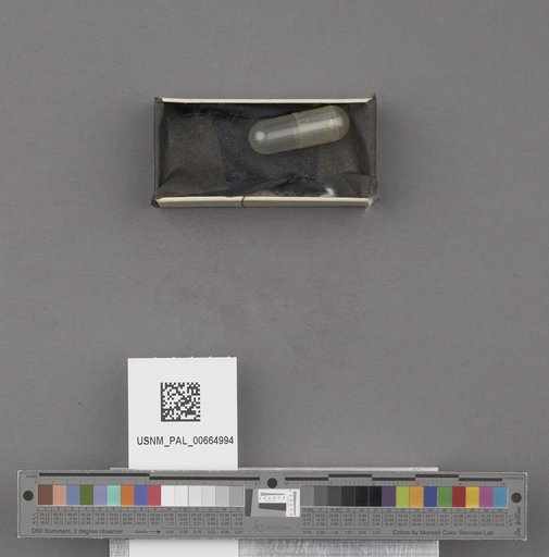 NSF ADBC EPICC TCN