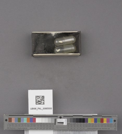 NSF ADBC EPICC TCN