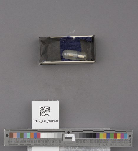 NSF ADBC EPICC TCN