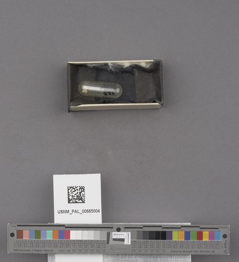 NSF ADBC EPICC TCN
