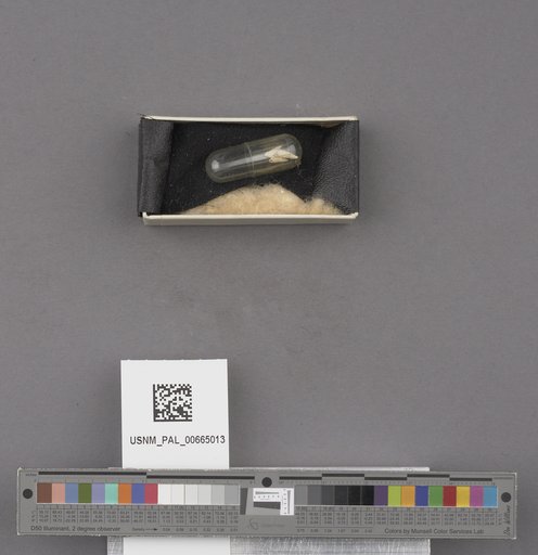 NSF ADBC EPICC TCN