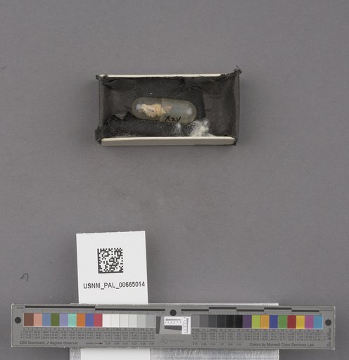 NSF ADBC EPICC TCN