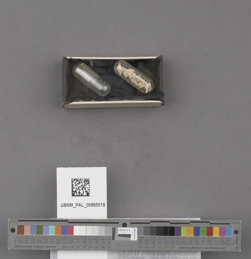 NSF ADBC EPICC TCN