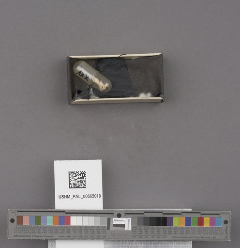 NSF ADBC EPICC TCN