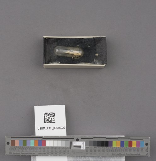 NSF ADBC EPICC TCN
