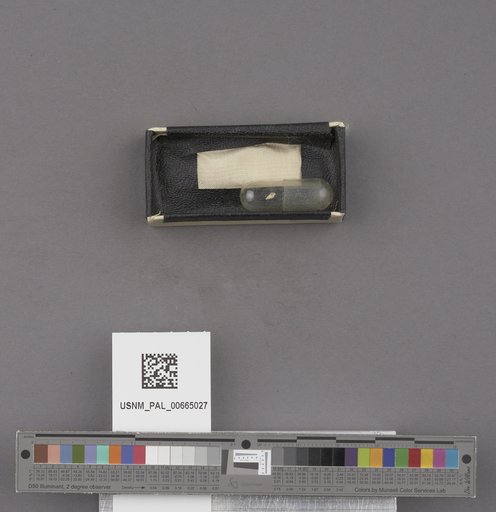 NSF ADBC EPICC TCN