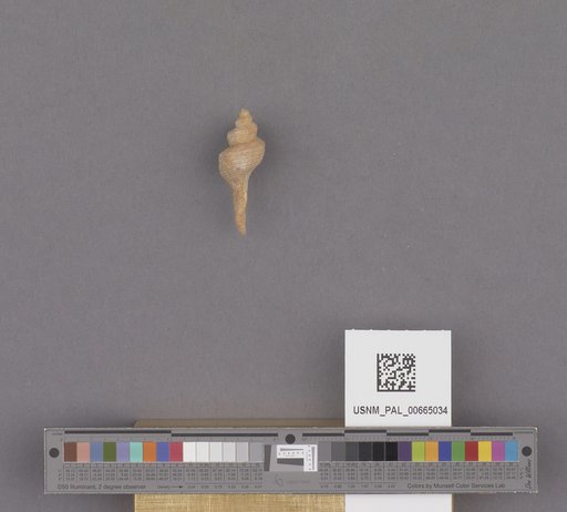 NSF ADBC EPICC TCN