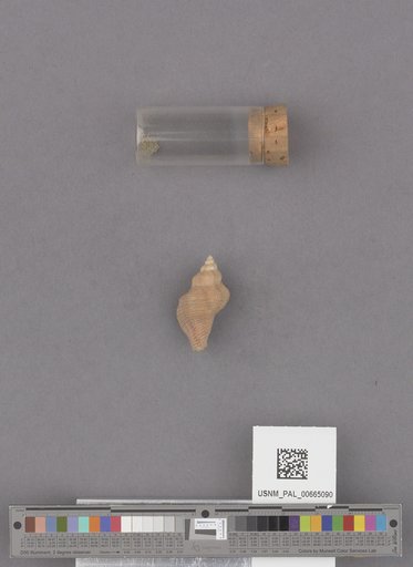 NSF ADBC EPICC TCN