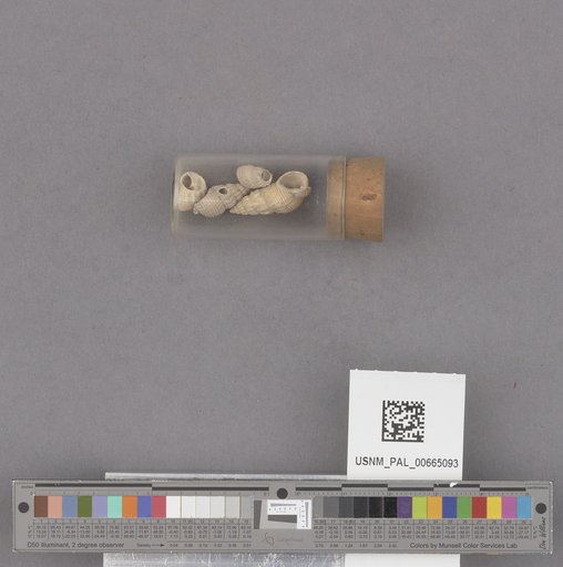 NSF ADBC EPICC TCN