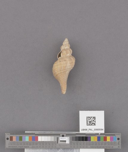 NSF ADBC EPICC TCN