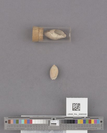 NSF ADBC EPICC TCN