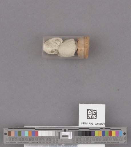 NSF ADBC EPICC TCN