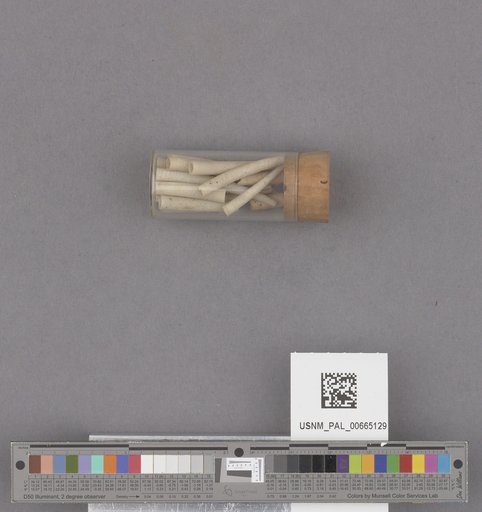 NSF ADBC EPICC TCN