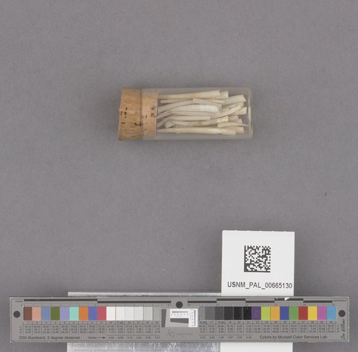 NSF ADBC EPICC TCN