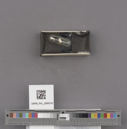 NSF ADBC EPICC TCN