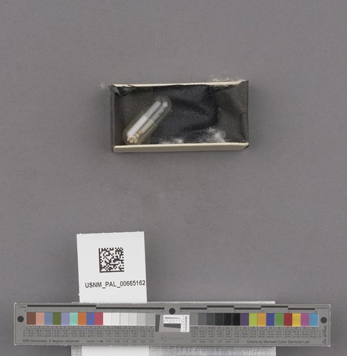 NSF ADBC EPICC TCN
