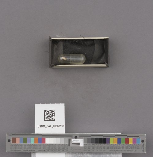 NSF ADBC EPICC TCN