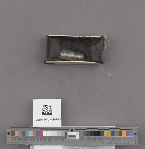 NSF ADBC EPICC TCN