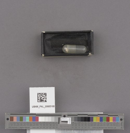 NSF ADBC EPICC TCN