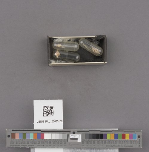NSF ADBC EPICC TCN