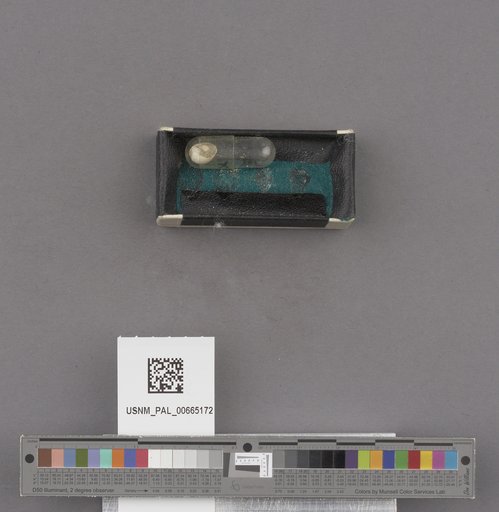 NSF ADBC EPICC TCN
