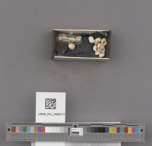 NSF ADBC EPICC TCN
