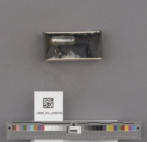 NSF ADBC EPICC TCN
