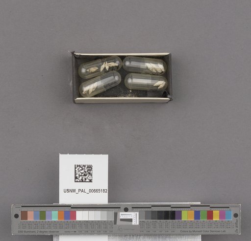 NSF ADBC EPICC TCN