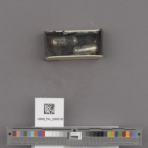 NSF ADBC EPICC TCN