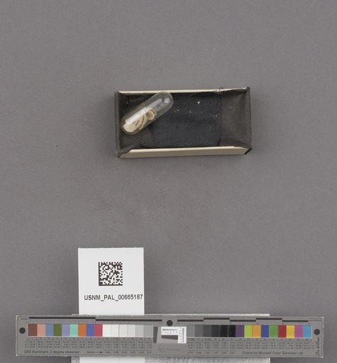 NSF ADBC EPICC TCN