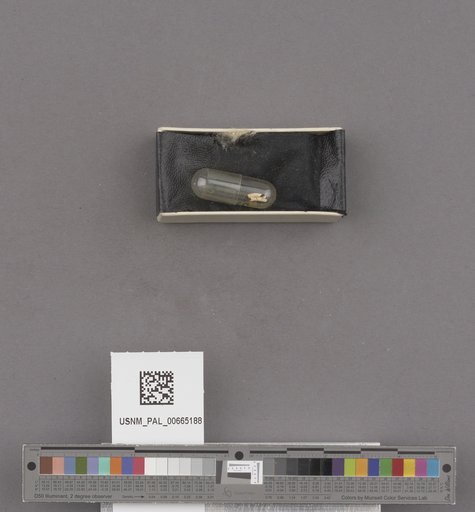 NSF ADBC EPICC TCN