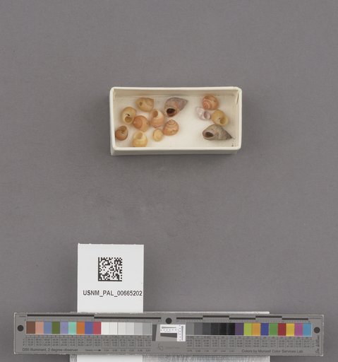 NSF ADBC EPICC TCN