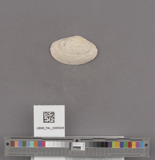 NSF ADBC EPICC TCN