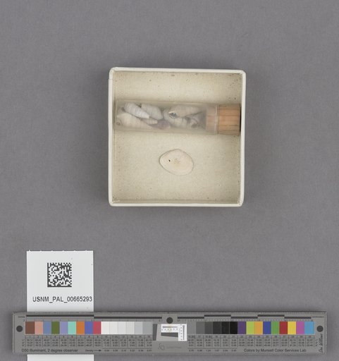 NSF ADBC EPICC TCN