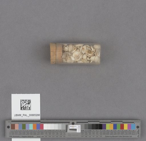 NSF ADBC EPICC TCN