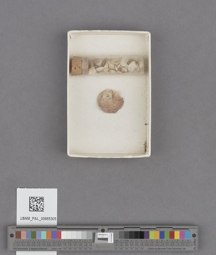NSF ADBC EPICC TCN