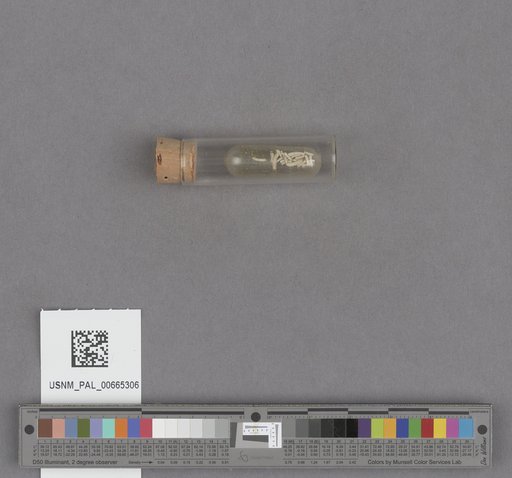 NSF ADBC EPICC TCN