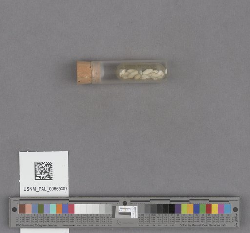 NSF ADBC EPICC TCN