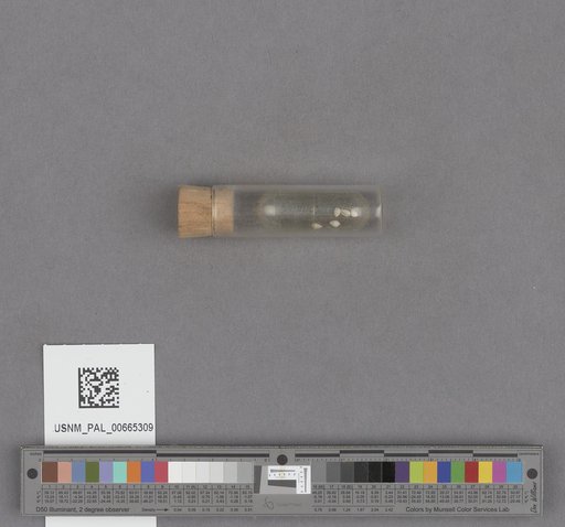 NSF ADBC EPICC TCN