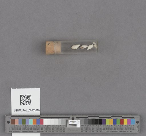NSF ADBC EPICC TCN