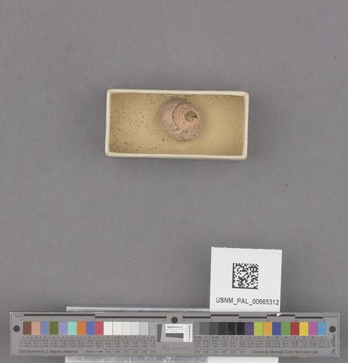 NSF ADBC EPICC TCN