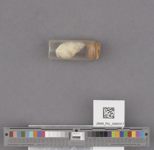 NSF ADBC EPICC TCN