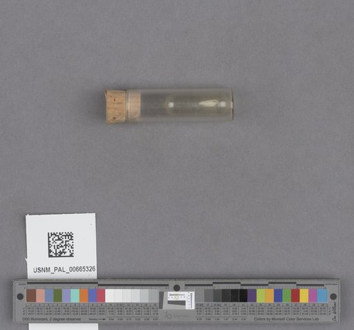 NSF ADBC EPICC TCN