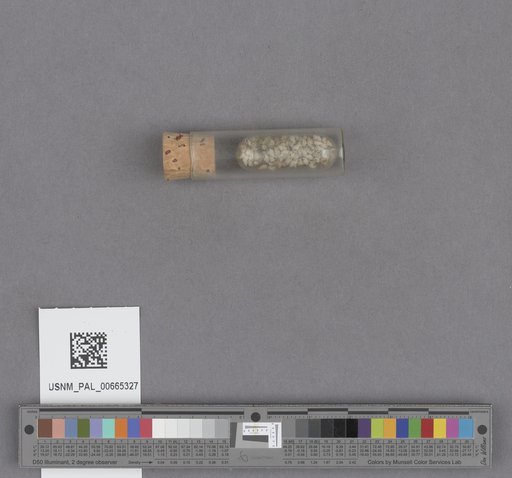 NSF ADBC EPICC TCN