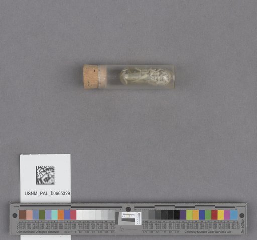 NSF ADBC EPICC TCN