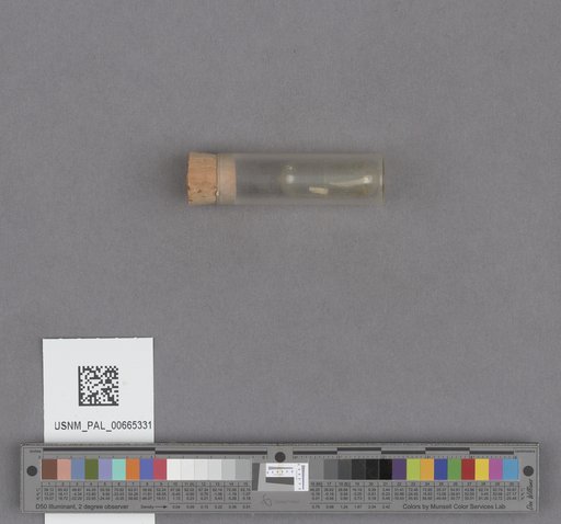NSF ADBC EPICC TCN
